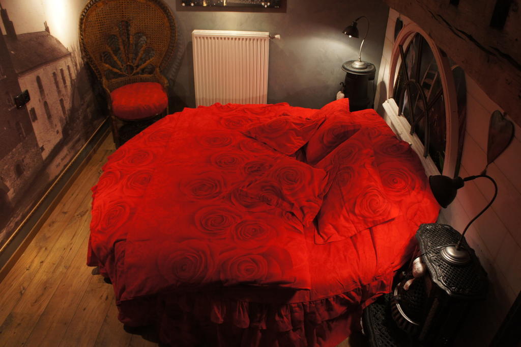 Aux Logis De La Solre Bed & Breakfast Ferriere-la-Petite Ruang foto